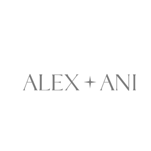 alex+ani | existing conditions